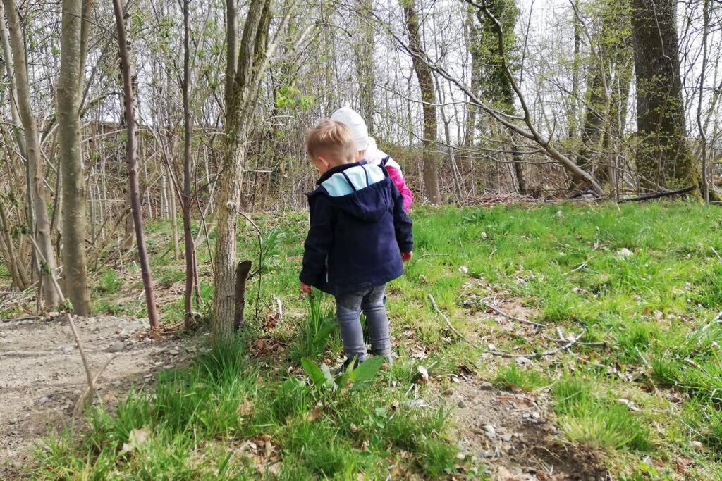 5Sterne Ferienwohnung Im Fachwerk Mit Bergblick In Alleinlage Und Grossem Garten, Infrarotkabine Humberg Kültér fotó