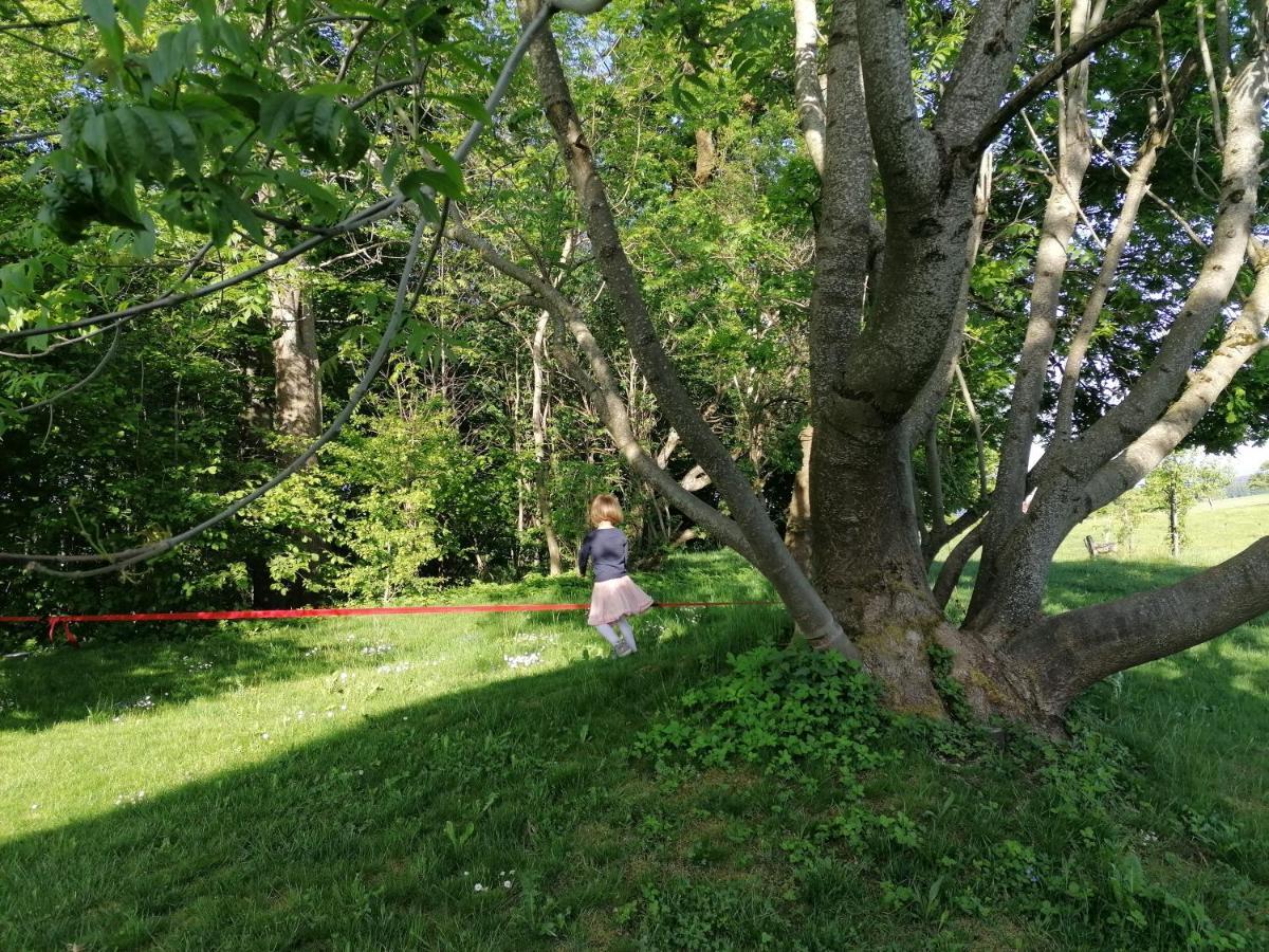 5Sterne Ferienwohnung Im Fachwerk Mit Bergblick In Alleinlage Und Grossem Garten, Infrarotkabine Humberg Kültér fotó