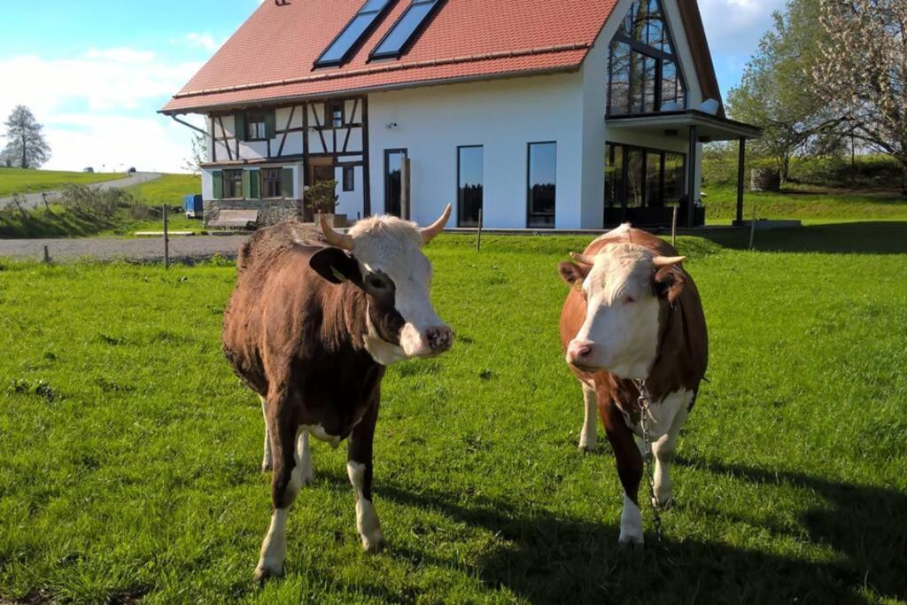 5Sterne Ferienwohnung Im Fachwerk Mit Bergblick In Alleinlage Und Grossem Garten, Infrarotkabine Humberg Kültér fotó