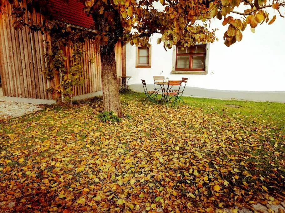 5Sterne Ferienwohnung Im Fachwerk Mit Bergblick In Alleinlage Und Grossem Garten, Infrarotkabine Humberg Kültér fotó