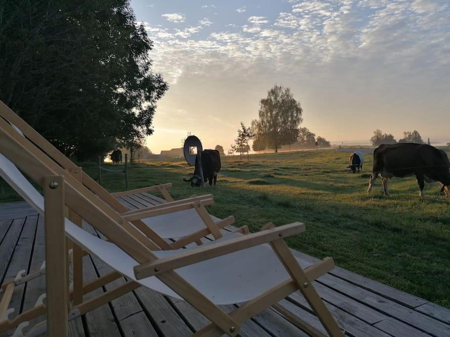 5Sterne Ferienwohnung Im Fachwerk Mit Bergblick In Alleinlage Und Grossem Garten, Infrarotkabine Humberg Kültér fotó