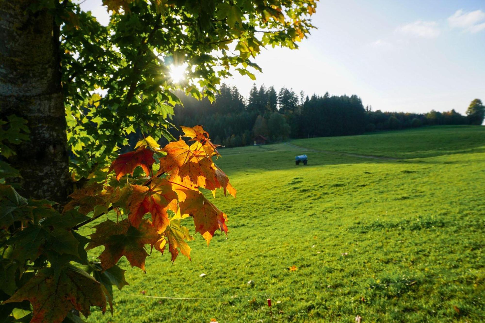 5Sterne Ferienwohnung Im Fachwerk Mit Bergblick In Alleinlage Und Grossem Garten, Infrarotkabine Humberg Kültér fotó